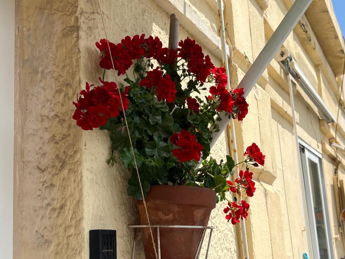 Accommodatie bij particulieren Studio Valencia